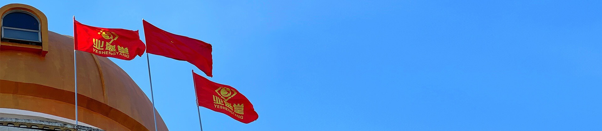 关于威廉希尔官网