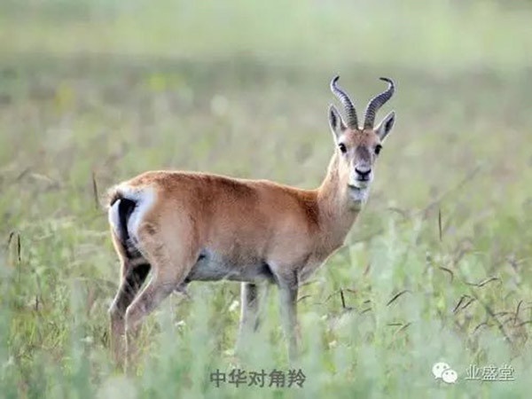 摄影家葛玉修先生做客威廉希尔官网